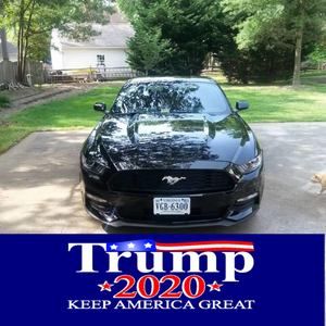 Meet your Posher, Timothy